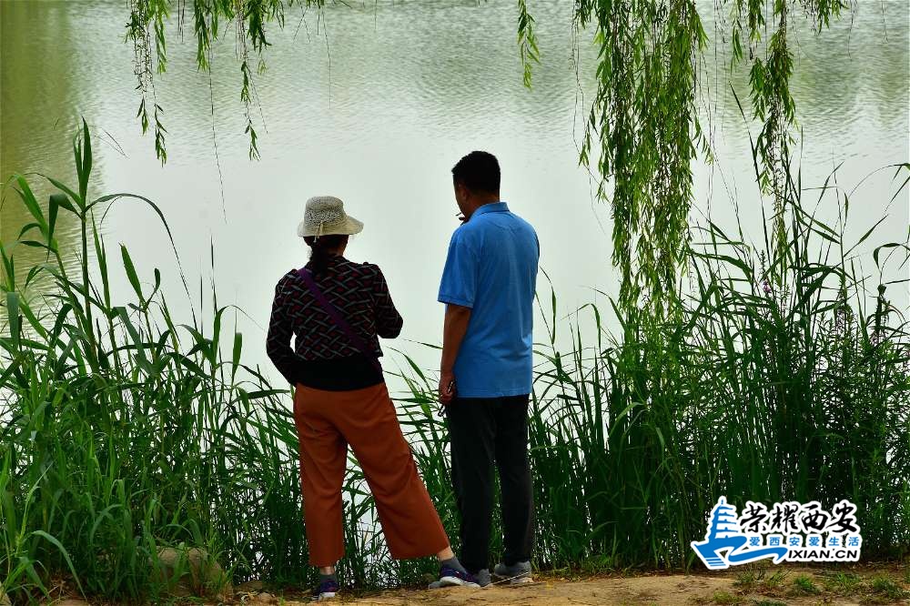 DSC_3854_meitu_5.jpg