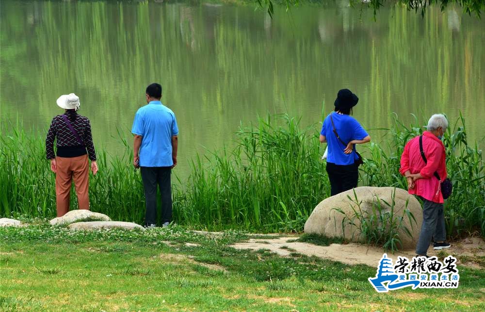DSC_3856_meitu_7.jpg