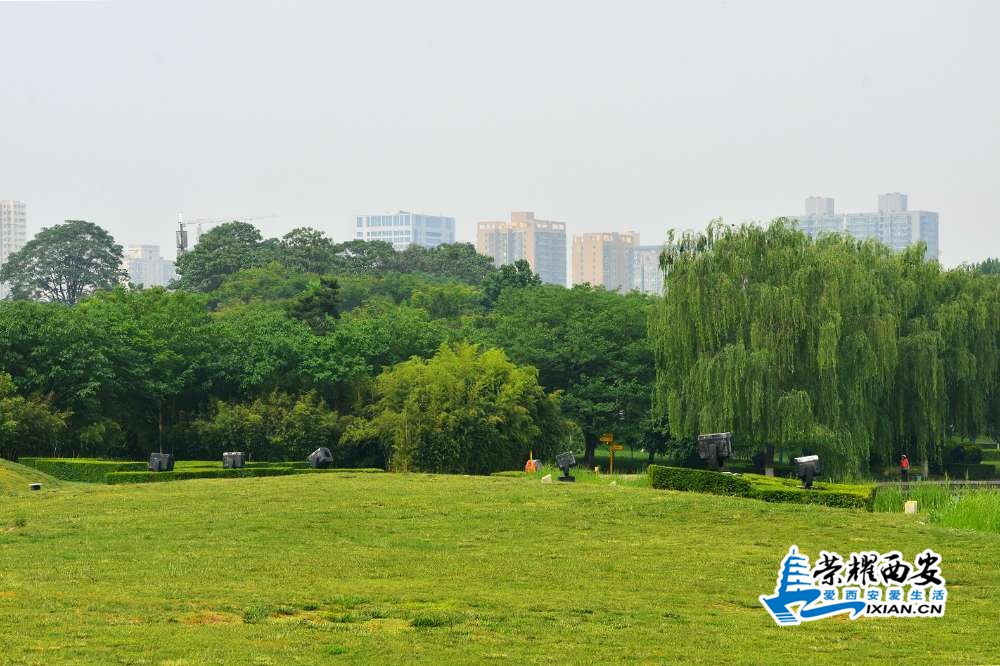DSC_3855_meitu_6.jpg