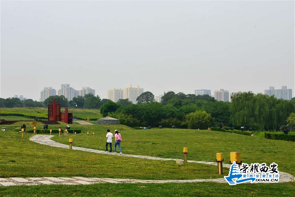 DSC_3869_meitu_16.jpg