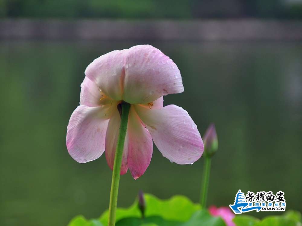 DSC_0022_conew1.jpg
