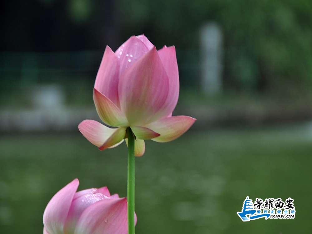 DSC_0040_conew1.jpg