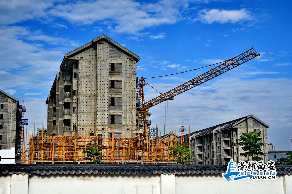 浐河 严建设0015.JPG
