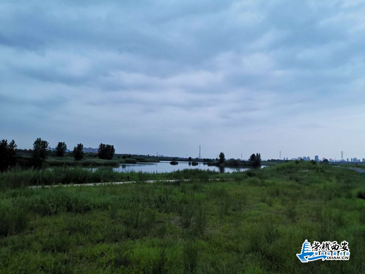 20200627_620038_1593239755620.jpg