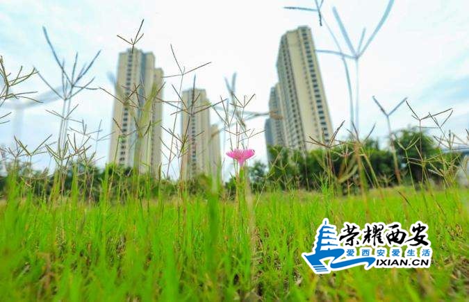 微信截图_20200704143351.jpg