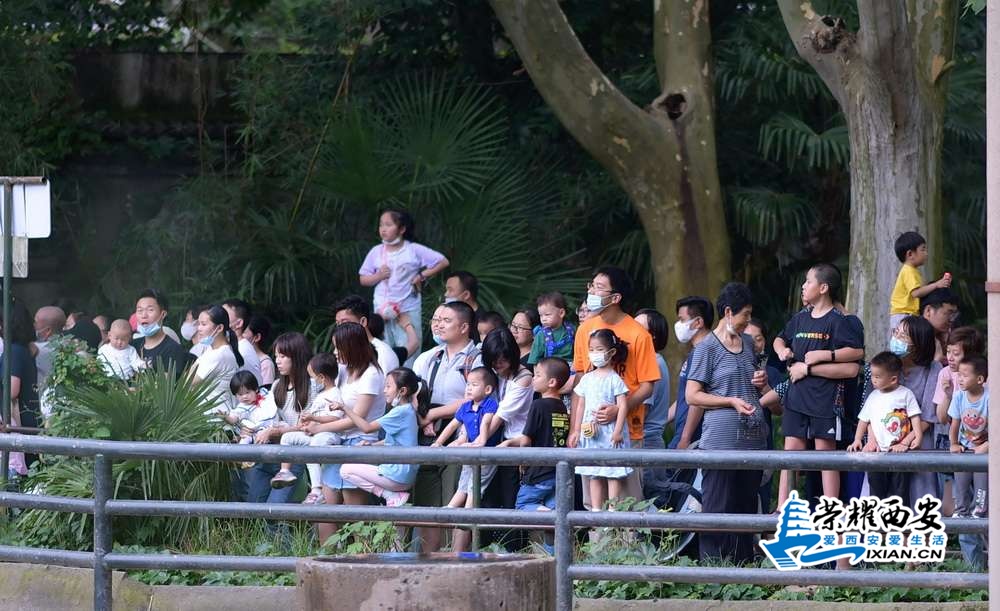 上海动物园 严建设13.JPG