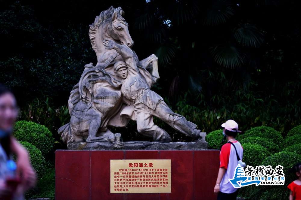 上海动物园 严建设19.JPG