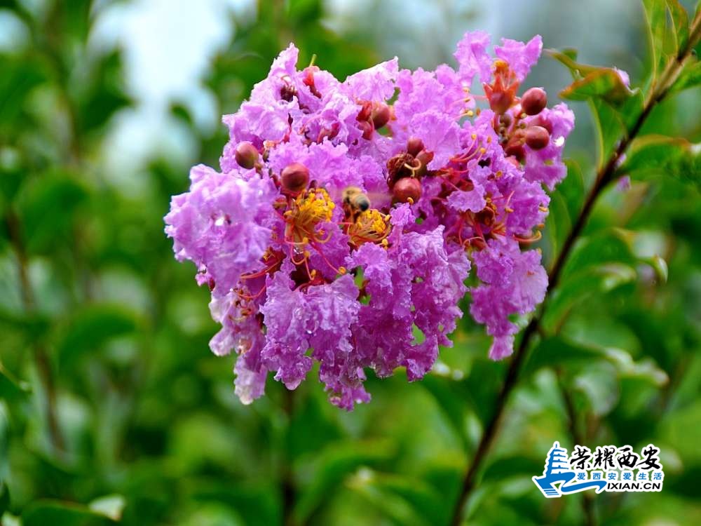 DSC_0167_conew1.jpg