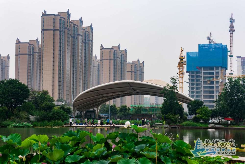 植物园-012.jpg