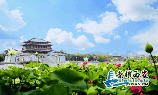 58f4eb176a1b4c45a5aff9c8ea30f6a9?from=pc.jpg