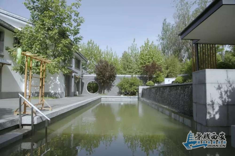 图片8.jpg