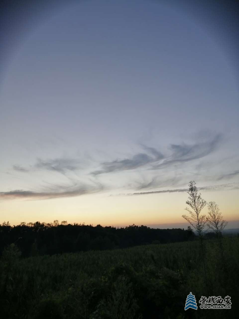 20200813_568240_1597330345368.jpg