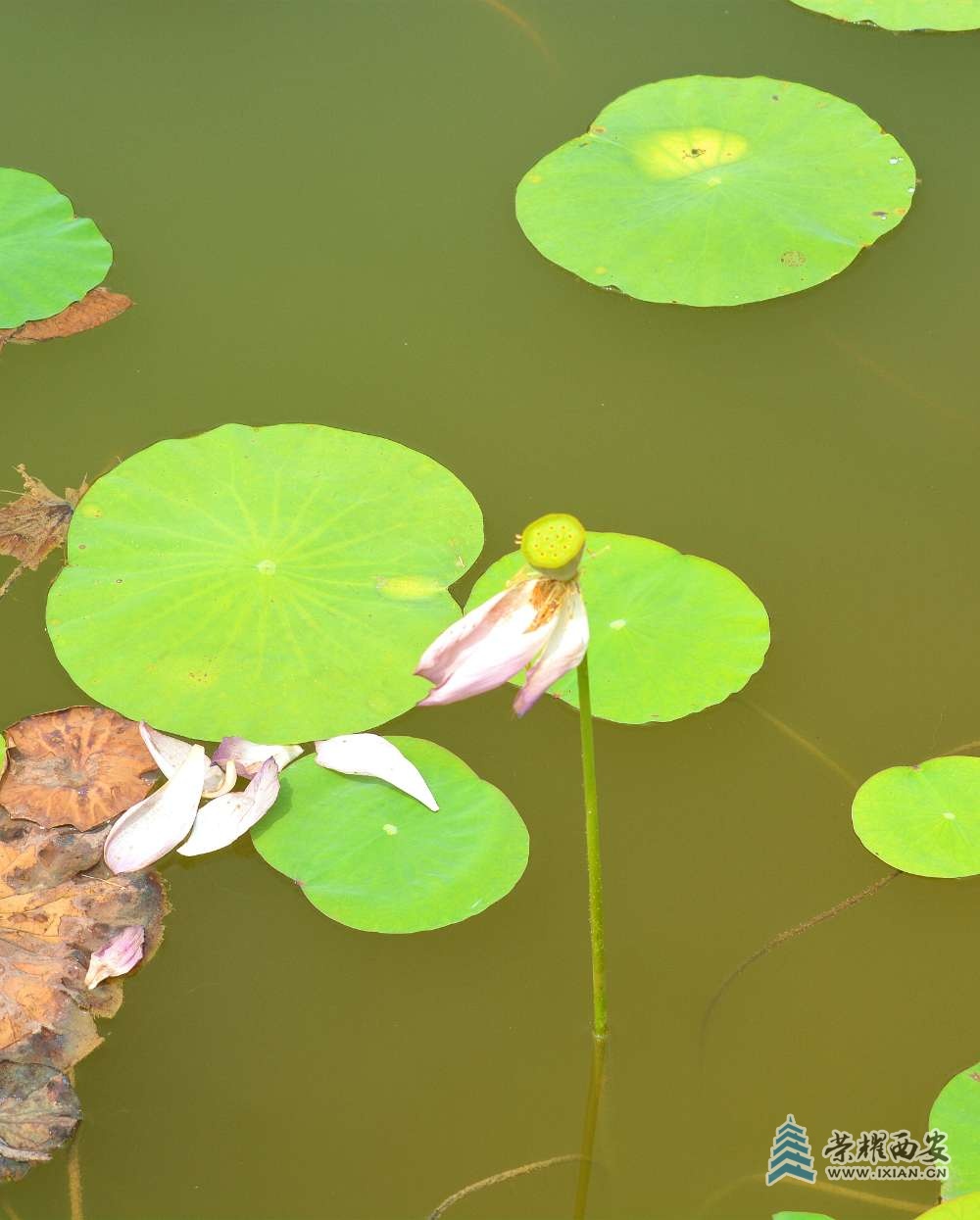 DSC_0770_副本.jpg