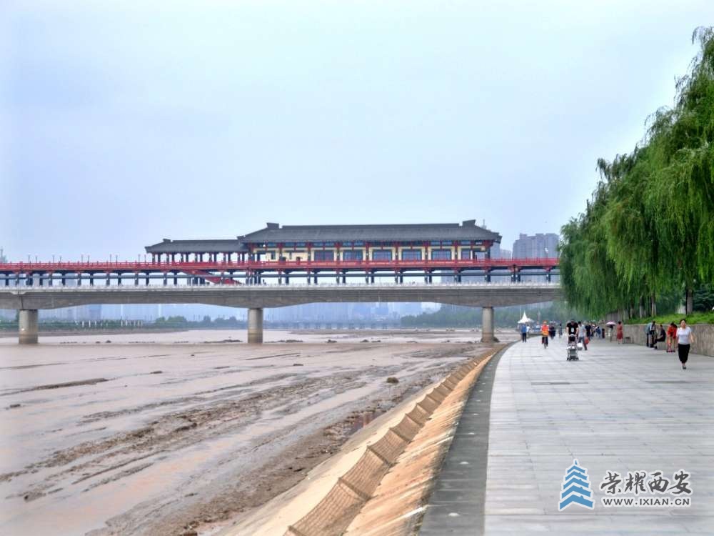 DSC_0132_conew1.jpg