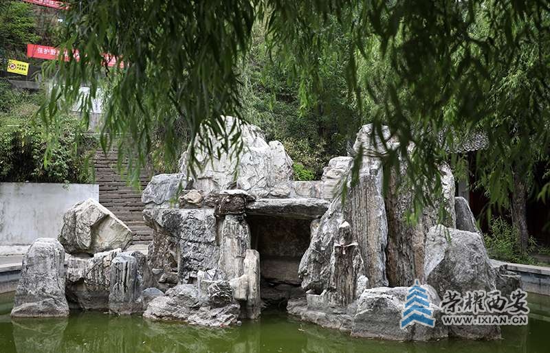 图片5.jpg