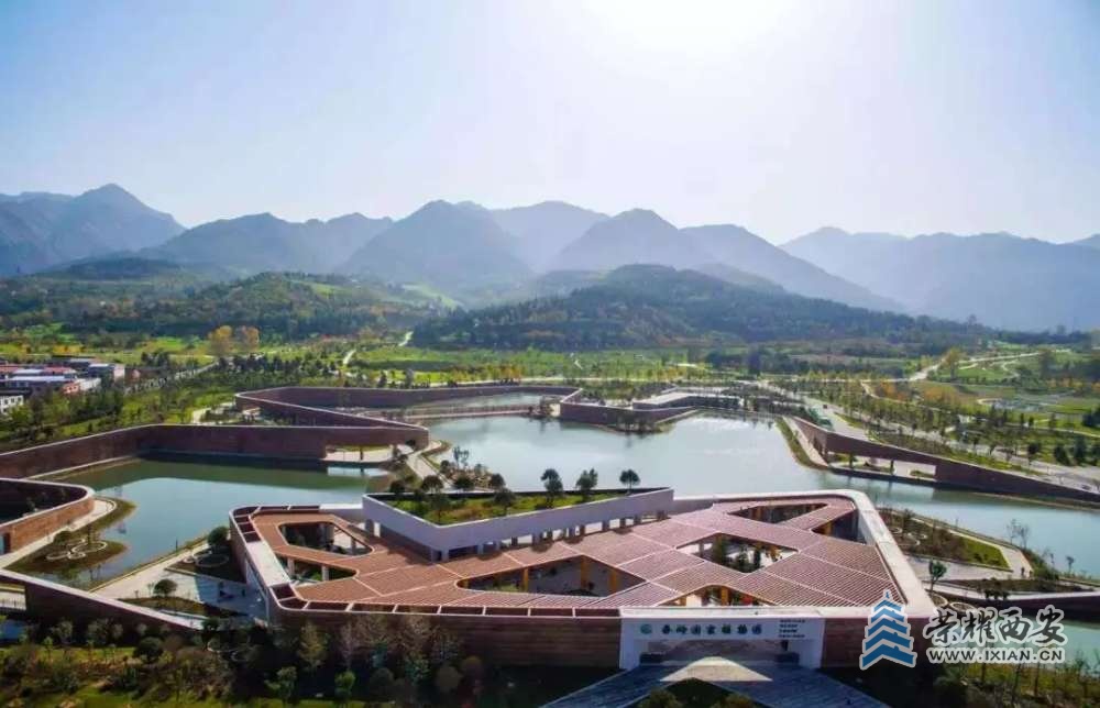 图片6.jpg