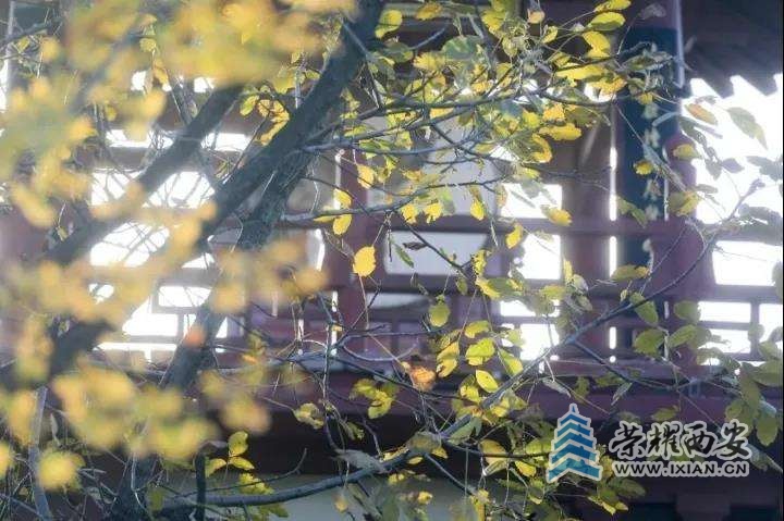 微信图片_20201008175408.jpg