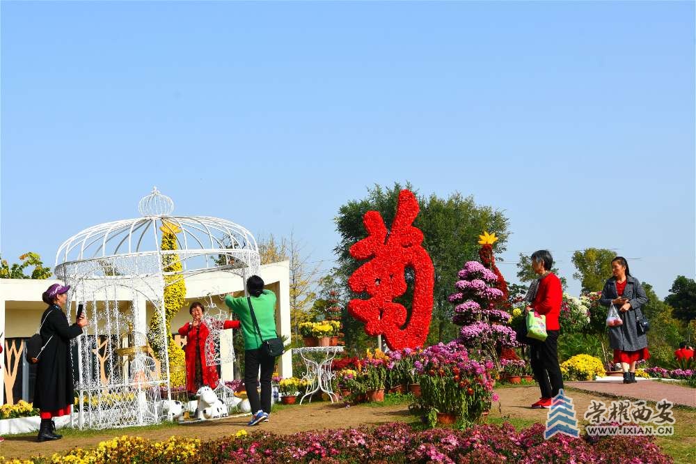 DSC_5012_meitu_18.jpg