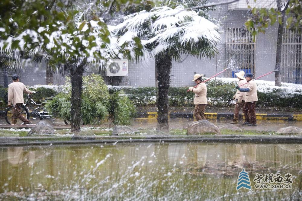 _小雪 严建设01.JPG