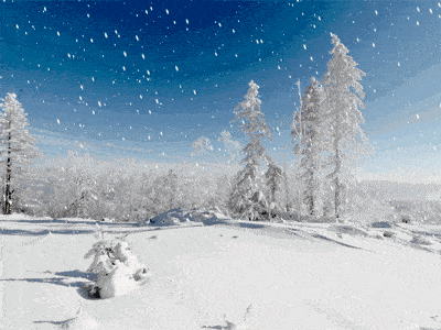 640?wx_fmt=gif.jpg