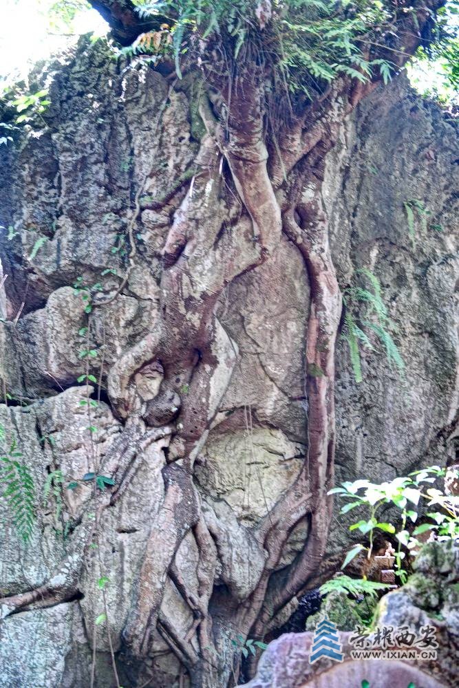 _贵州 严建设0013.JPG