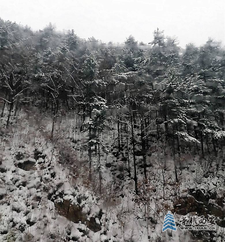 微信图片_20201124204301_副本.jpg