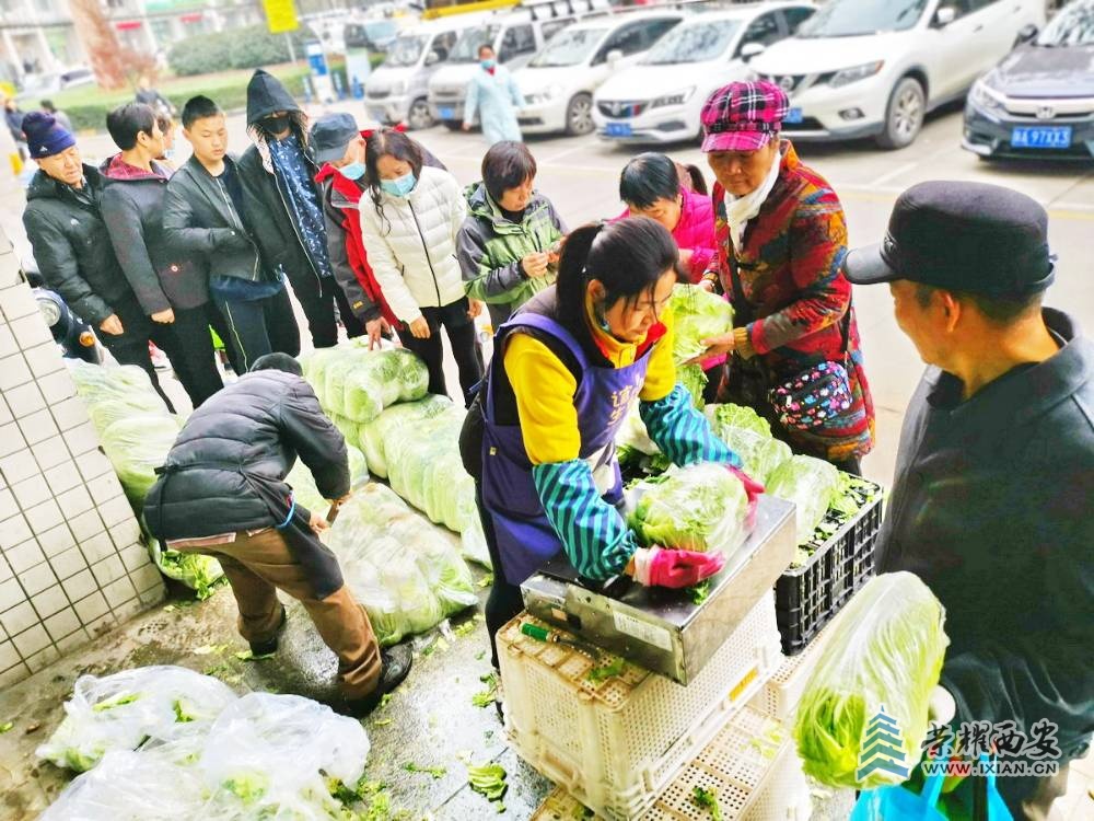 _菜价 严建设1.jpg