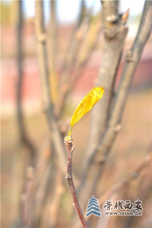 DSC_0034_副本.jpg