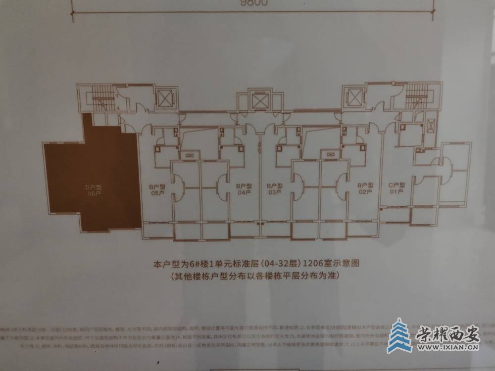 户型分布平面图