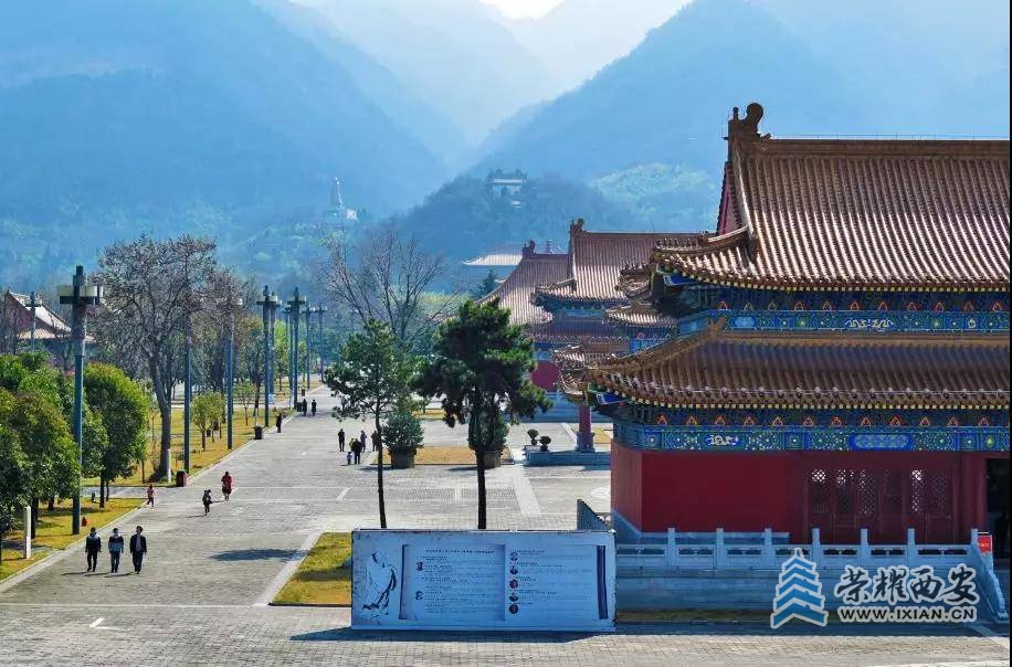 图片13.jpg