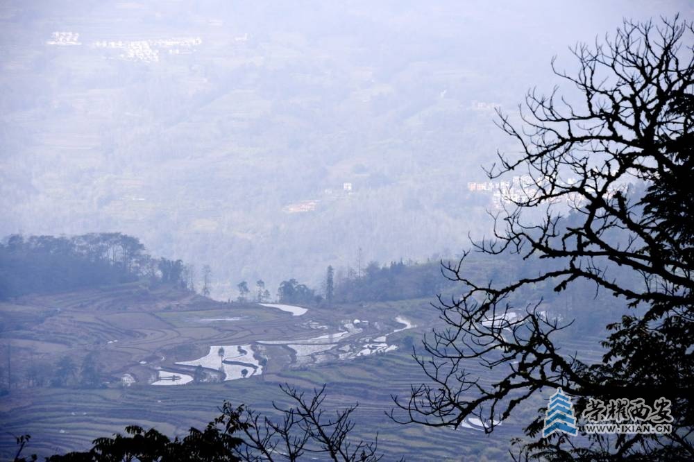 _元阳大梯田 严建设000027.JPG