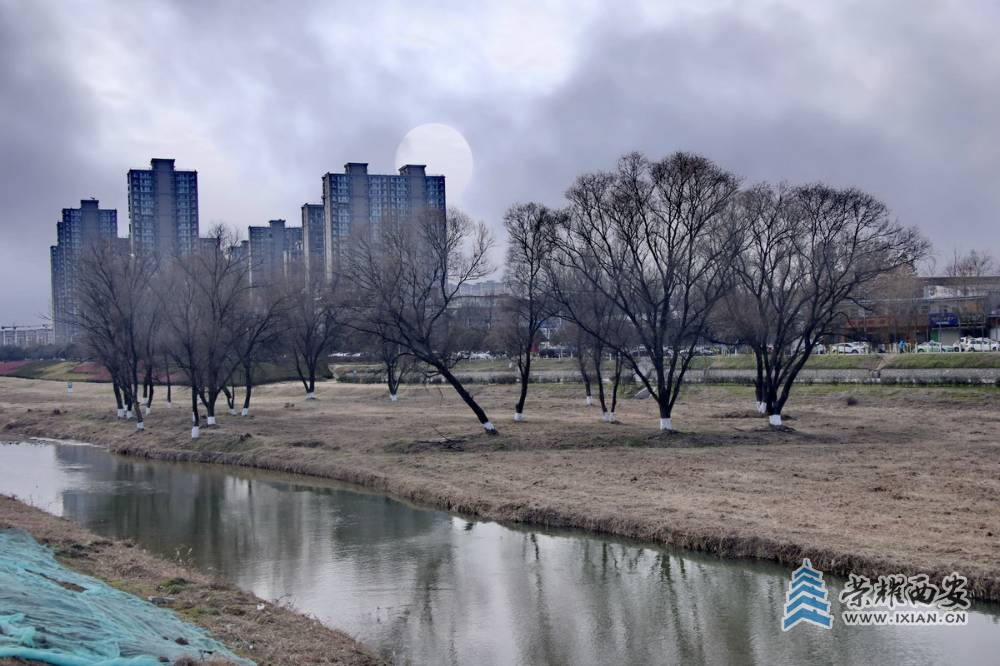 _浐河 严建设00 2.JPG