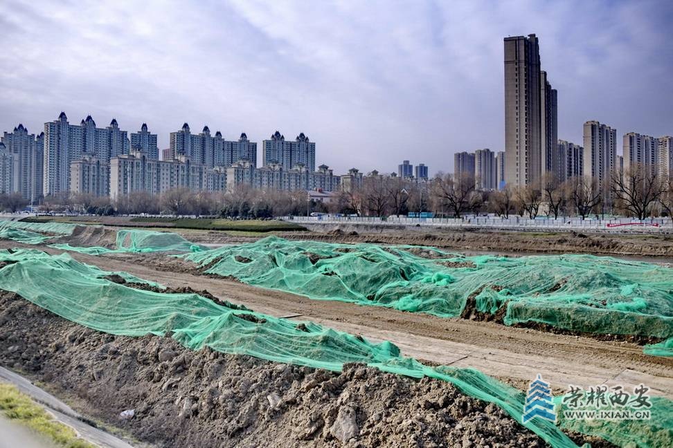 _浐河 严建设00 36.JPG
