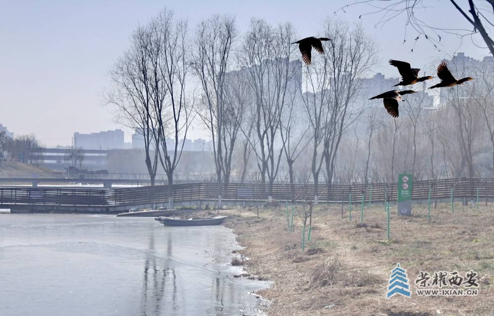 _桃花潭 严建设0005.JPG