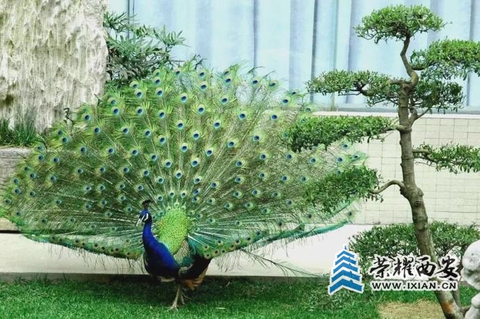 ?url=http%3A%2F%2Fdingyue.ws.126.net%2F2021%2F0110%2Fb21d041aj00qmpn0n004bc000u000jxm.jpg