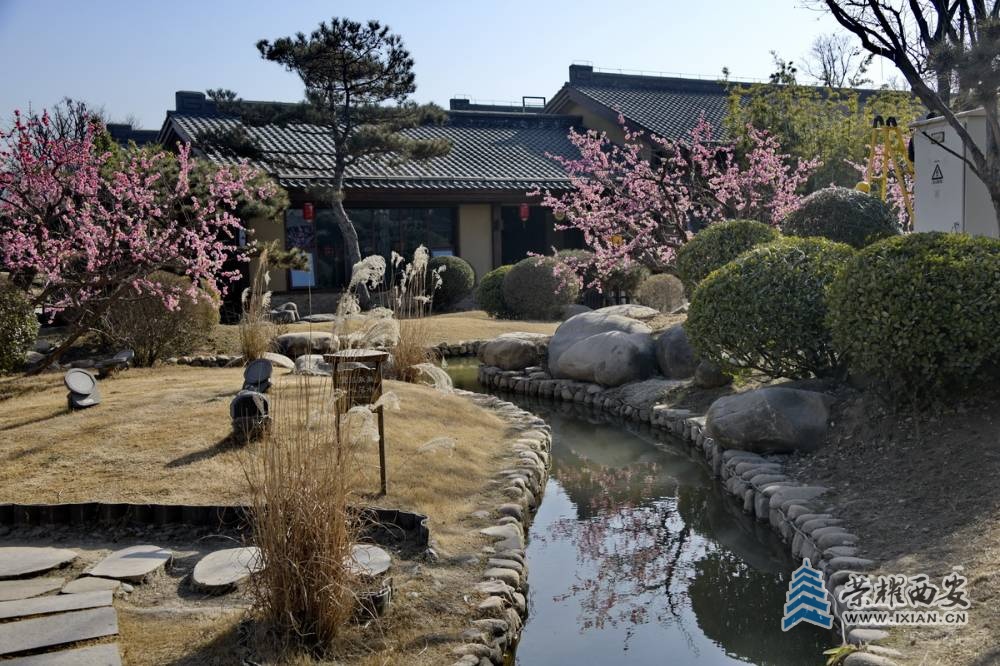 _诗经里 严建设0017.JPG