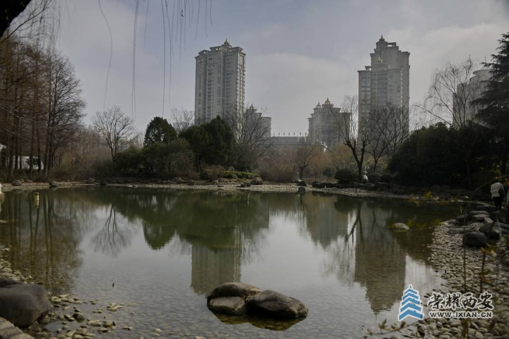 _新虹桥花园 严建设004.JPG