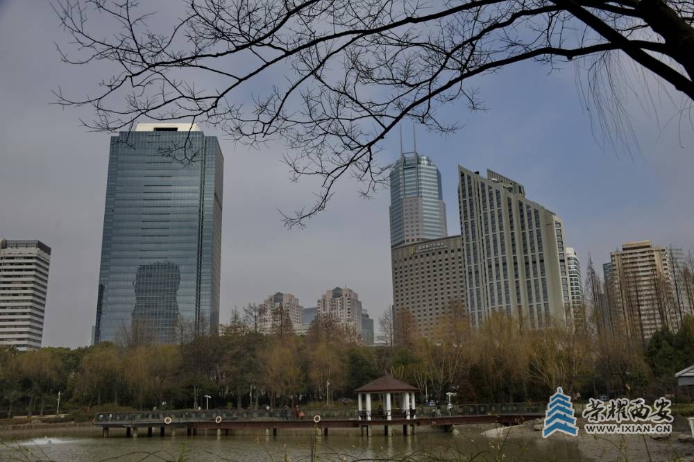 _新虹桥花园 严建设003.JPG