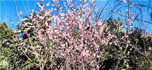 MVIMG_20210216_163031_副本.jpg