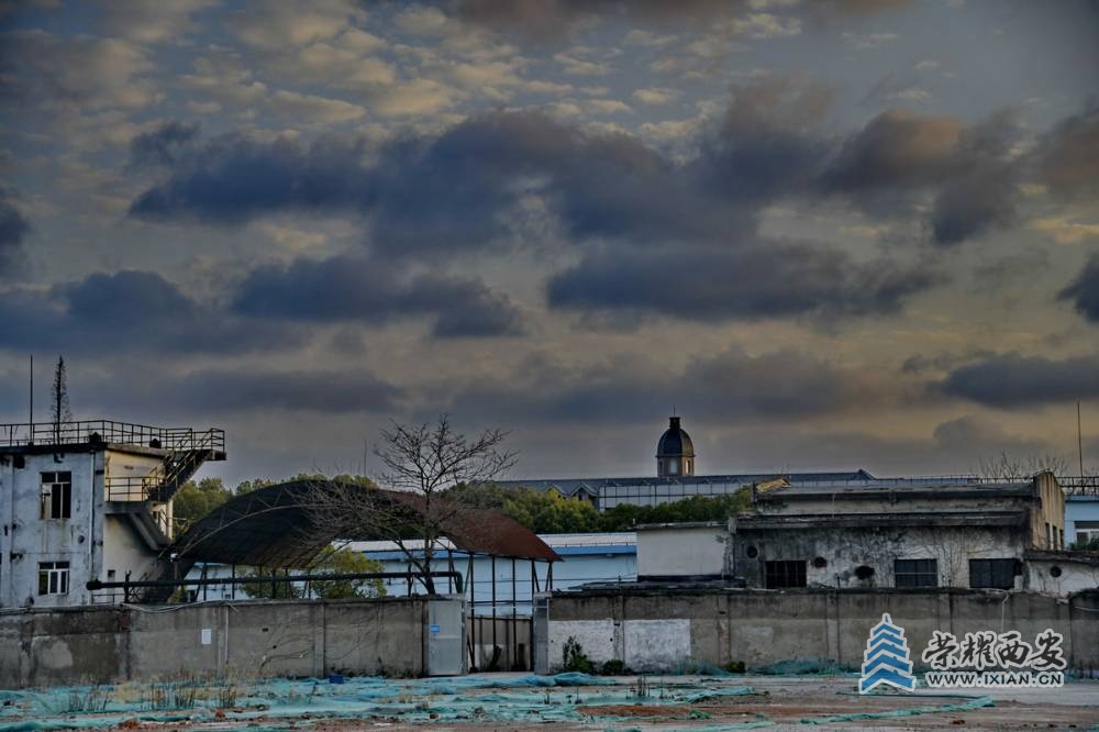- 上海 严建设002.JPG