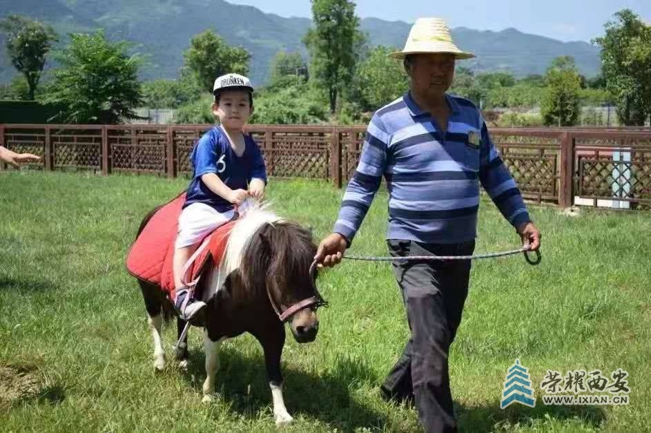 图片14.jpg
