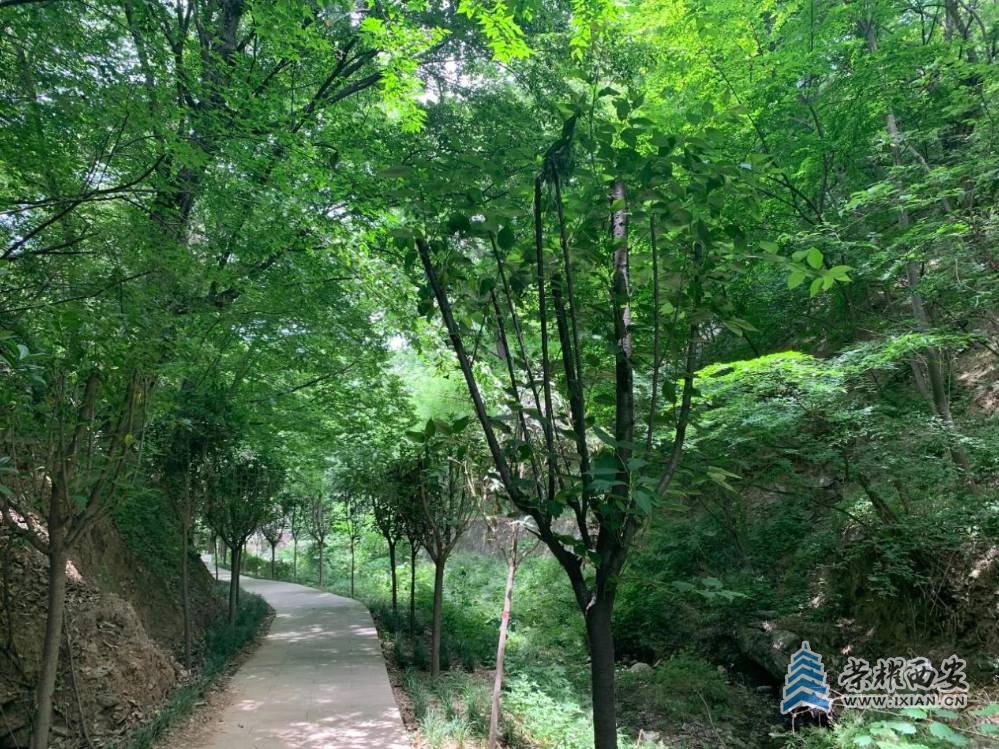 图片7.jpg