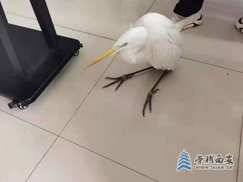 图片6.jpg