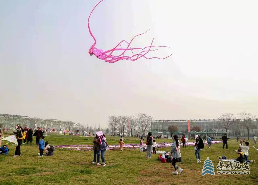 图片7.jpg