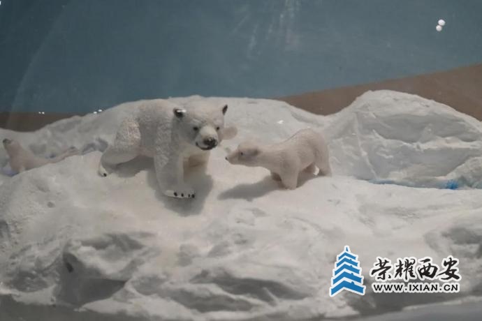 ?url=http%3A%2F%2Fdingyue.ws.126.net%2F2021%2F0322%2F59bfba60j00qqczp20017c000u000k0m.jpg