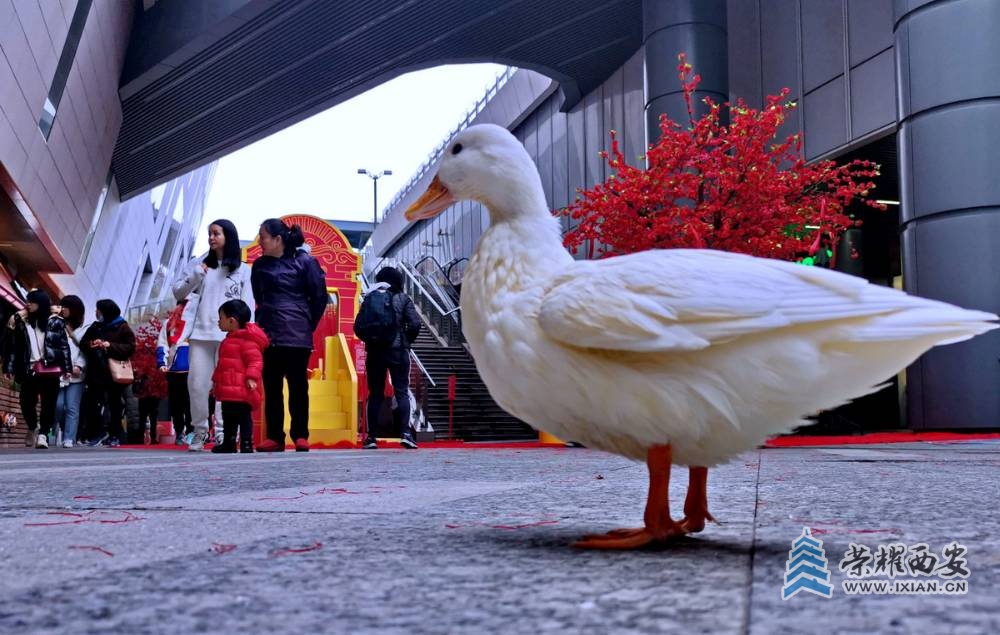 - 近铁广场  严建设004.jpg