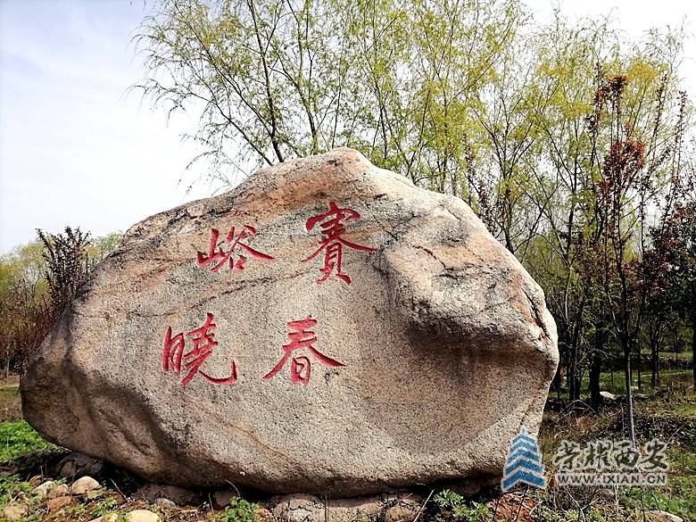微信图片_20210327220032_副本.jpg