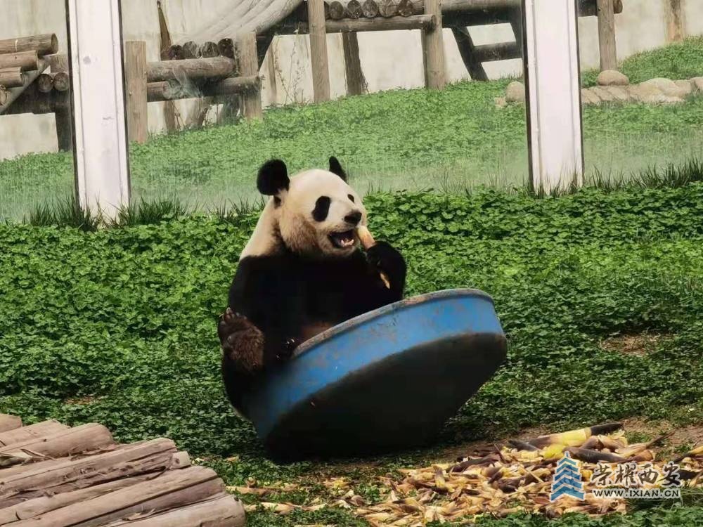 微信图片_20210331101414.jpg