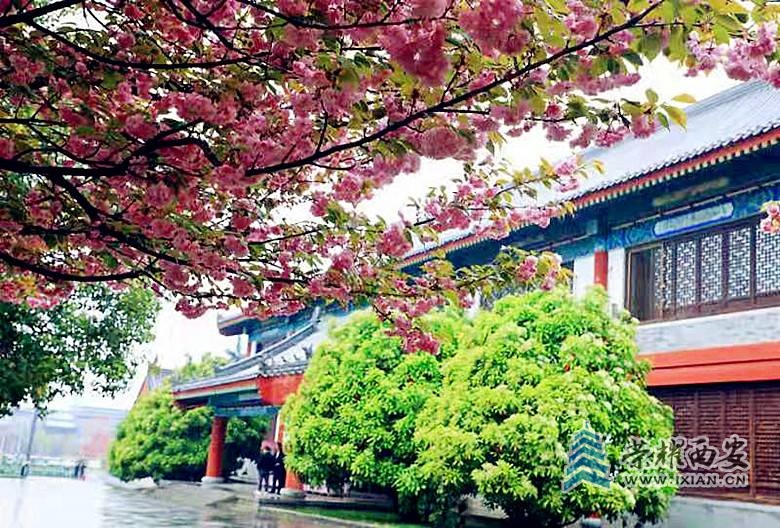 微信图片_20210406145557_副本.jpg