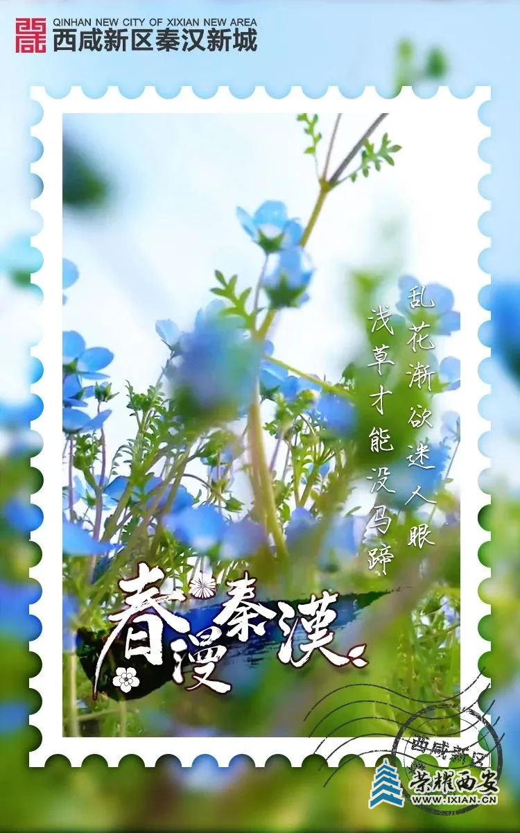 get?code=NDQ4OGI4ZTg0NmE0NzBmMDlkMTIxOWYxNjRiZWRjNzMsMTYxNzY5NDU0NjkzNA==.jpg